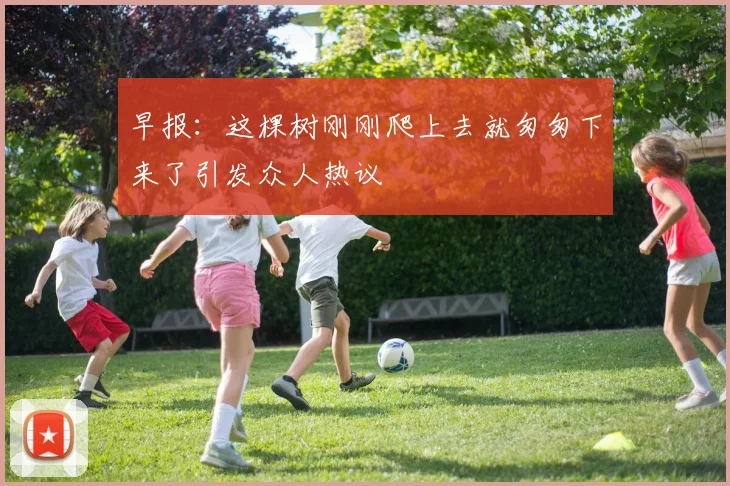 早报：这棵树刚刚爬上去就匆匆下来了引发众人热议