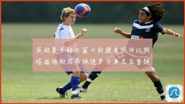 英超夏季转会窗口新援表现评比斯塔赫领衔若昂佩德罗与库尼亚紧随其后