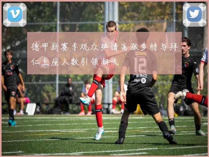 德甲新赛季观众热情高涨多特与拜仁上座人数引领潮流