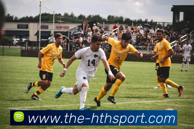 华体会体育平台生态图